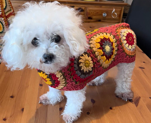 Handmade crochet granny square - granny,