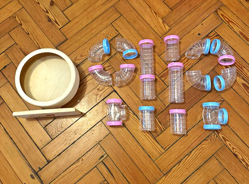 Hamster tubes tunnels and - hamster, tubes/tunnels