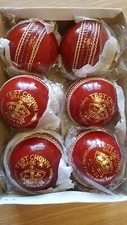 Test crown juniour - juniour, cricket