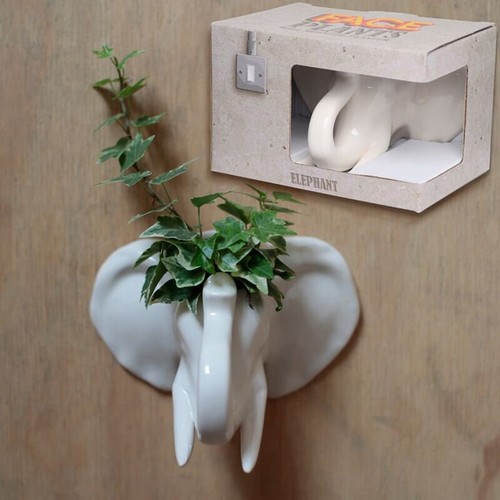 Wall planters face plant - planters, pot