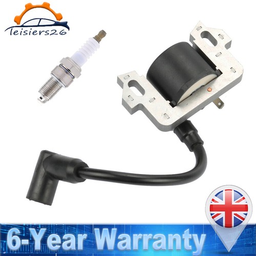 Ignition coil module - module, with