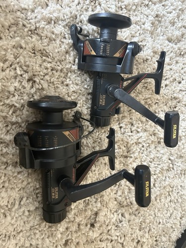 Carp fishing - carp,