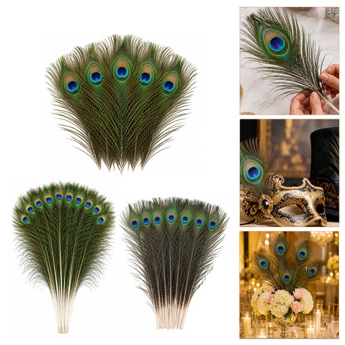 Natural peacock tail feathers - natural,
