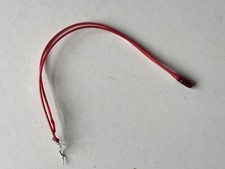 GRAIN OF WHEAT BULBS