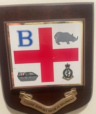 Medical regiment military - cs,