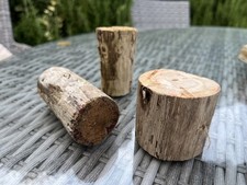 3 DRIFTWOOD LOG  Round Wood Plinth Base Craft Florist Display Fairy Garden Model