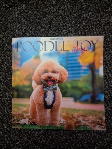 Toy poodle dog - poodle,