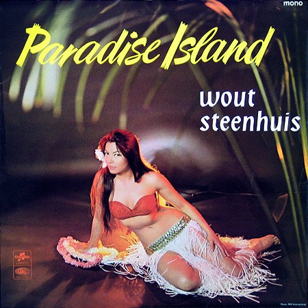 Wout steenhuis paradise - steenhuis,