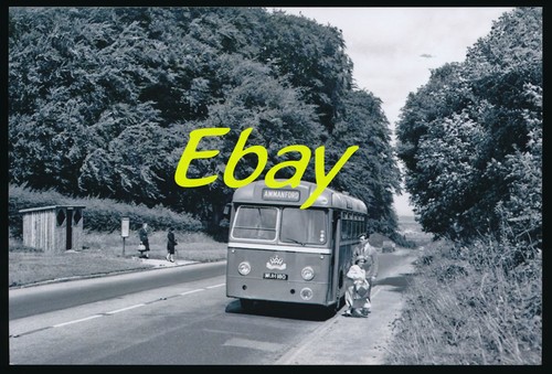 Bus photo leyland tiger cub - photo,,