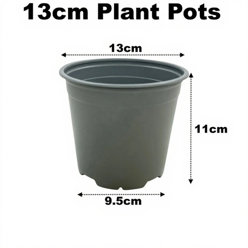 13cm plant pots grey - plant, plastic