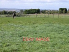 PHOTO  GRAZING LAND AT BOBBLE