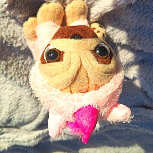 Pugsy pug dog plush - soft, toy