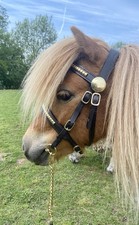 Hand bridle brass clencher - brass,