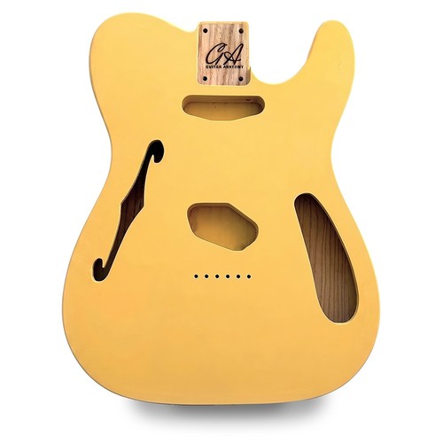 Telecaster thinline compatible - telecaster,