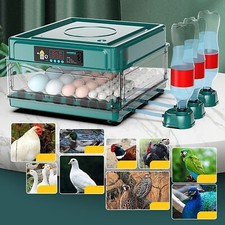10/12/38 Eggs Incubator