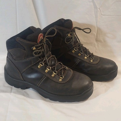 Irish setter ely work - ely,