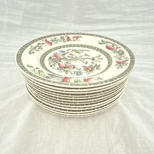 12x indian tree johnson - 12x,