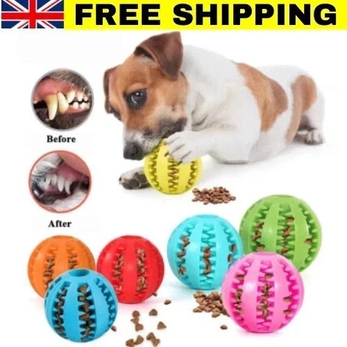 Puppy toys dog - dog, food