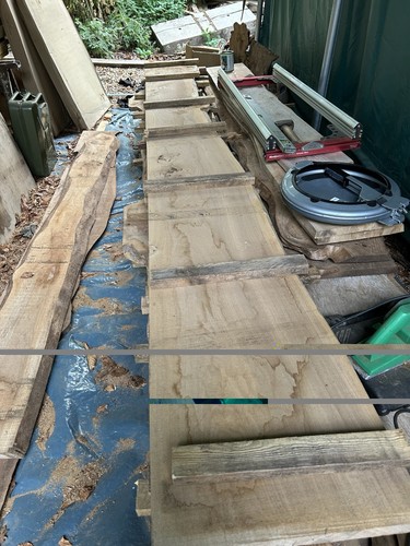 Waney edge elm - waney,
