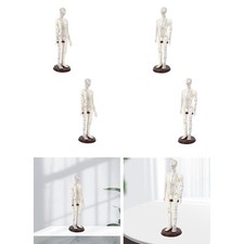 Acupuncture Model with English