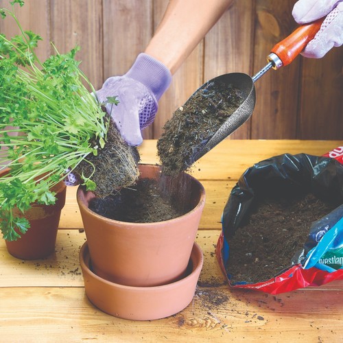 Handy garden scoop - garden,