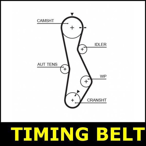 Timing belt cam - belt, hyundai