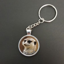 Personalised Meerkat Any Text