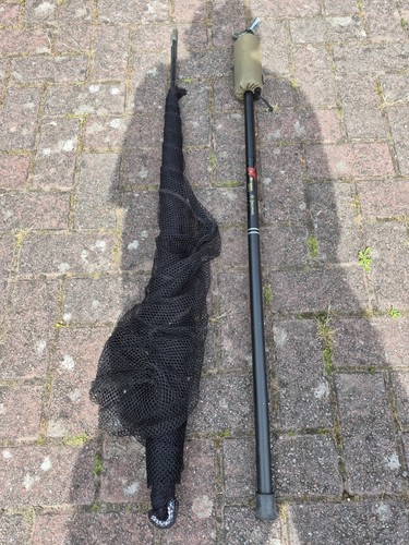 Dragon carp 6ft - carp, specimen