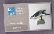 RSPB Pin Badge - Goshawk