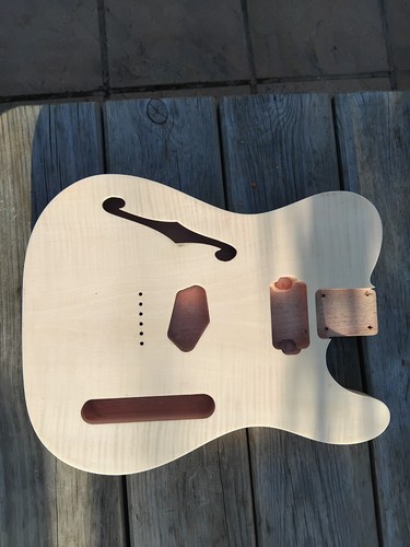 Telecaster thinline mahogany - telecaster,