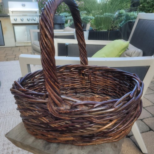 Large dark willow - willow, gathering