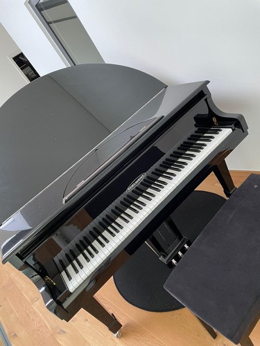 Edelweiss g50 baby grand - g50,