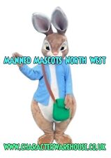 Hire  Peter Rabbit  Costume