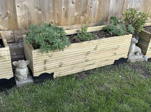 Large raised wooden decking - large,