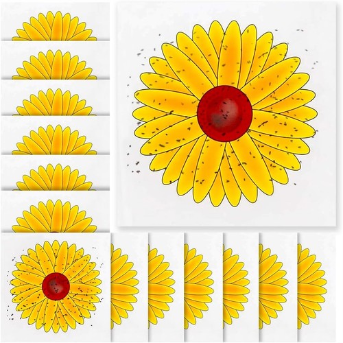 Window fly trap flies - 10,