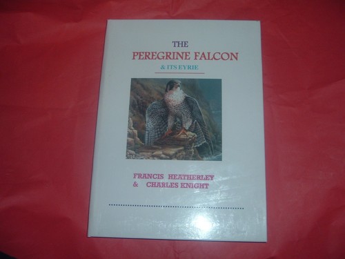 Peregrine falcon heatherly - falcon, ....heatherly