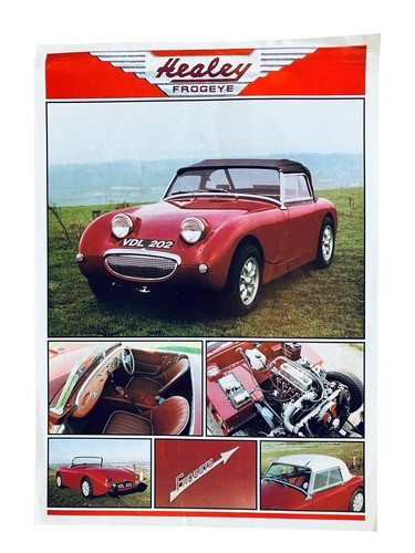 Austin healey frogeye - healey,
