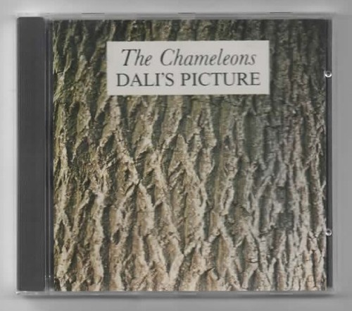 The chameleons dali s - the, dali's