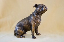 Staffordshire Bull Terrier