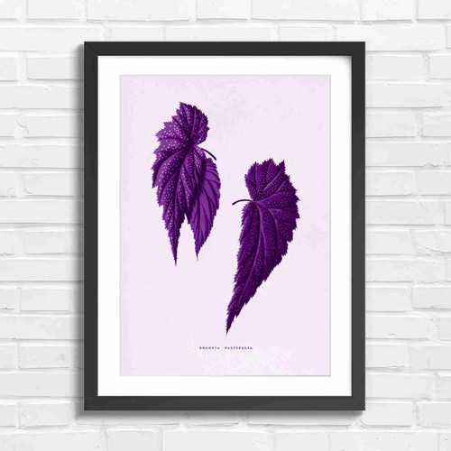 Botanical vintage leaves - botanical,