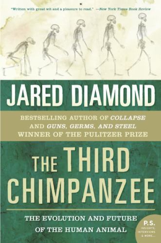 The third chimpanzee - chimpanzee:,