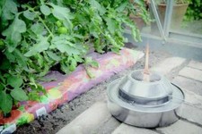 Large Paraffin Greenhouse Cold