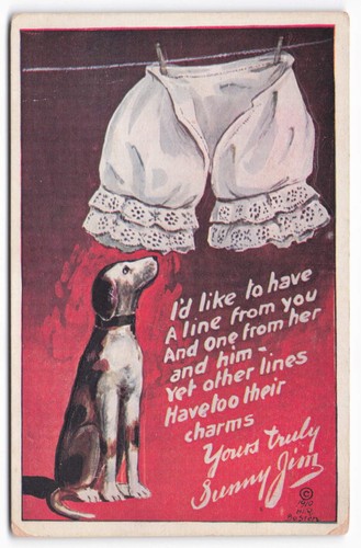 Vtg 1910 dog bloomers - 1910,