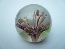 Clear glass dome shaped paperweight with  coloured crocus type flowers (81)
