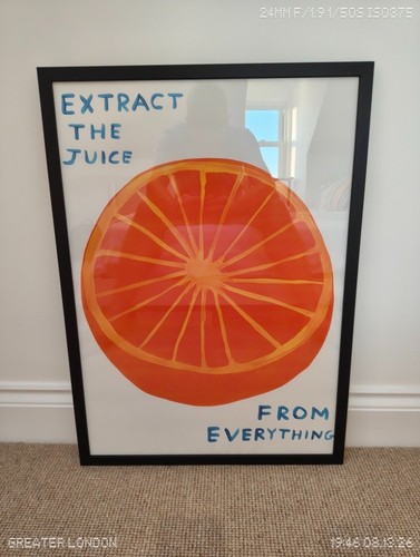 David shrigley extract the - david, "extract