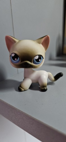 Littlest pet shop shorthair - pet,