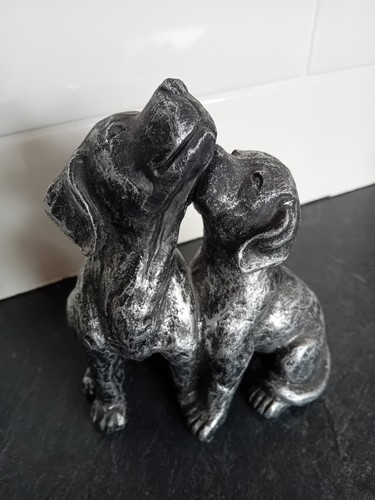 Cute pair labrador dogs - cute,
