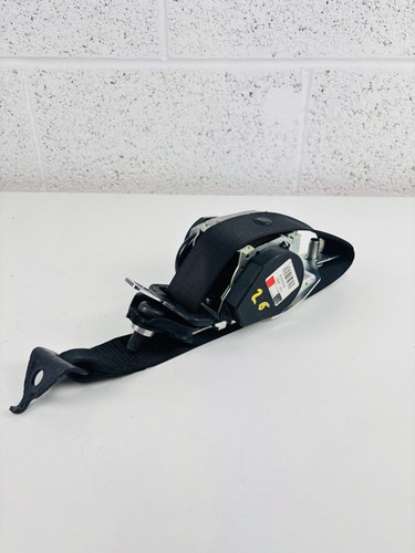 Seat belt rear left - seat,