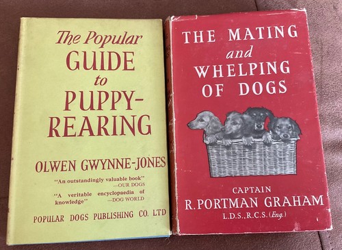 Guide puppy rearing - guide, rearing(1961)