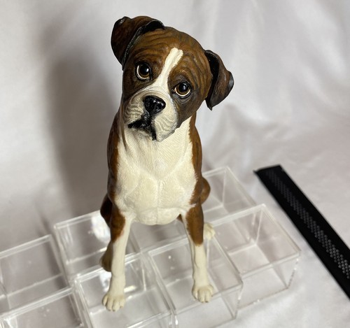 The eager boxer limited - the,